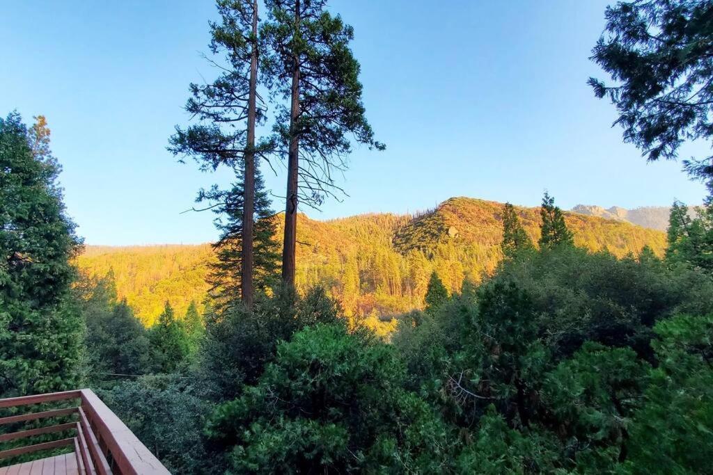 Redwood Retreat, Mountains, Adventure And Nature Ponderosa Buitenkant foto