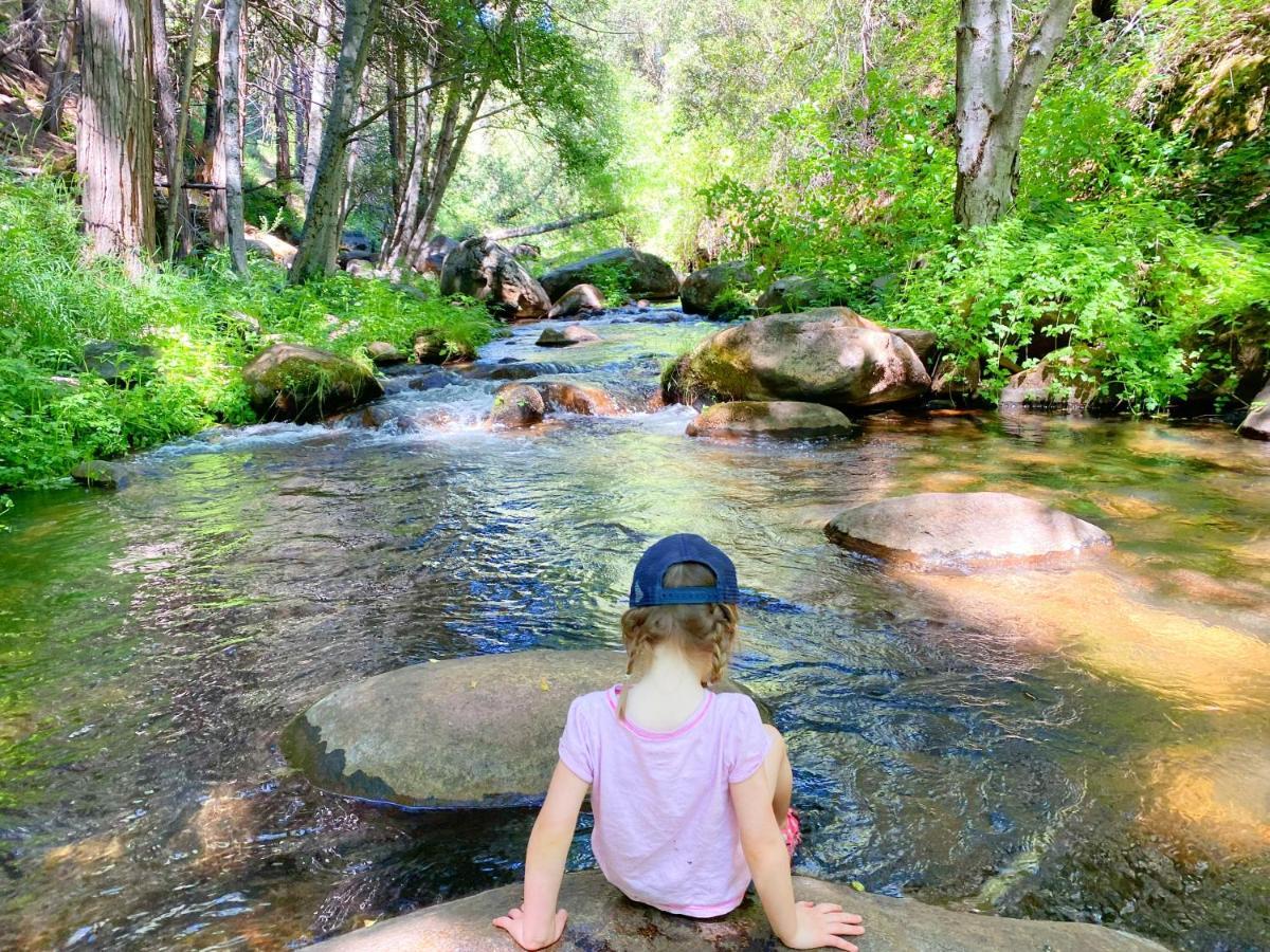 Redwood Retreat, Mountains, Adventure And Nature Ponderosa Buitenkant foto