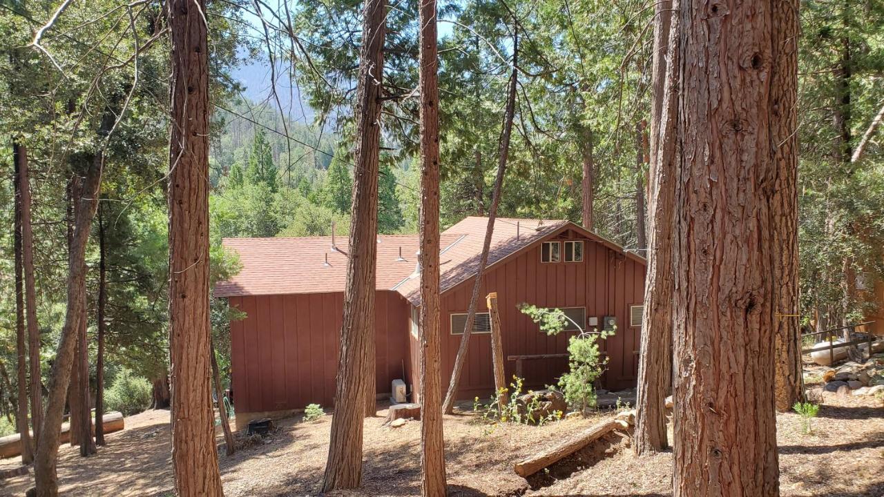 Redwood Retreat, Mountains, Adventure And Nature Ponderosa Buitenkant foto