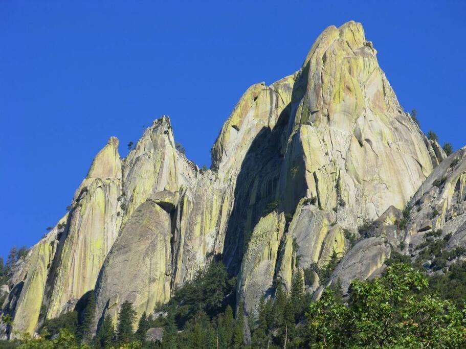 Redwood Retreat, Mountains, Adventure And Nature Ponderosa Buitenkant foto