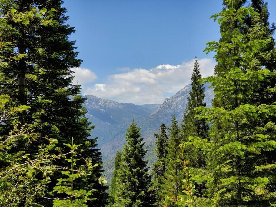 Redwood Retreat, Mountains, Adventure And Nature Ponderosa Buitenkant foto