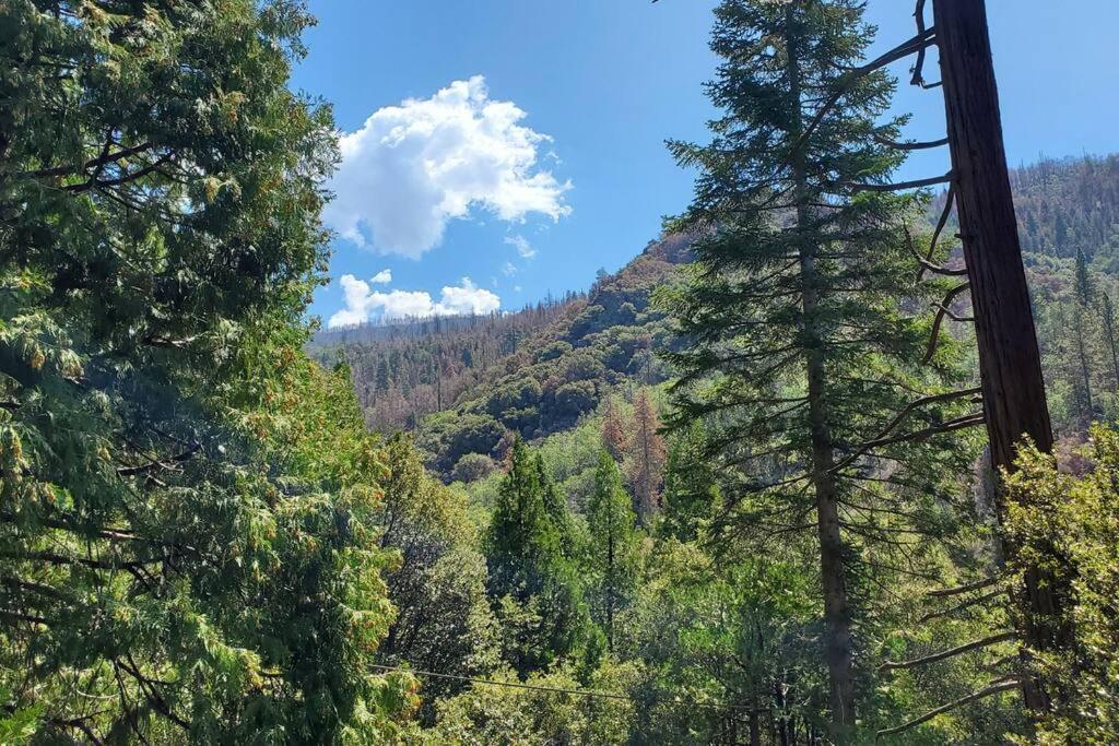 Redwood Retreat, Mountains, Adventure And Nature Ponderosa Buitenkant foto