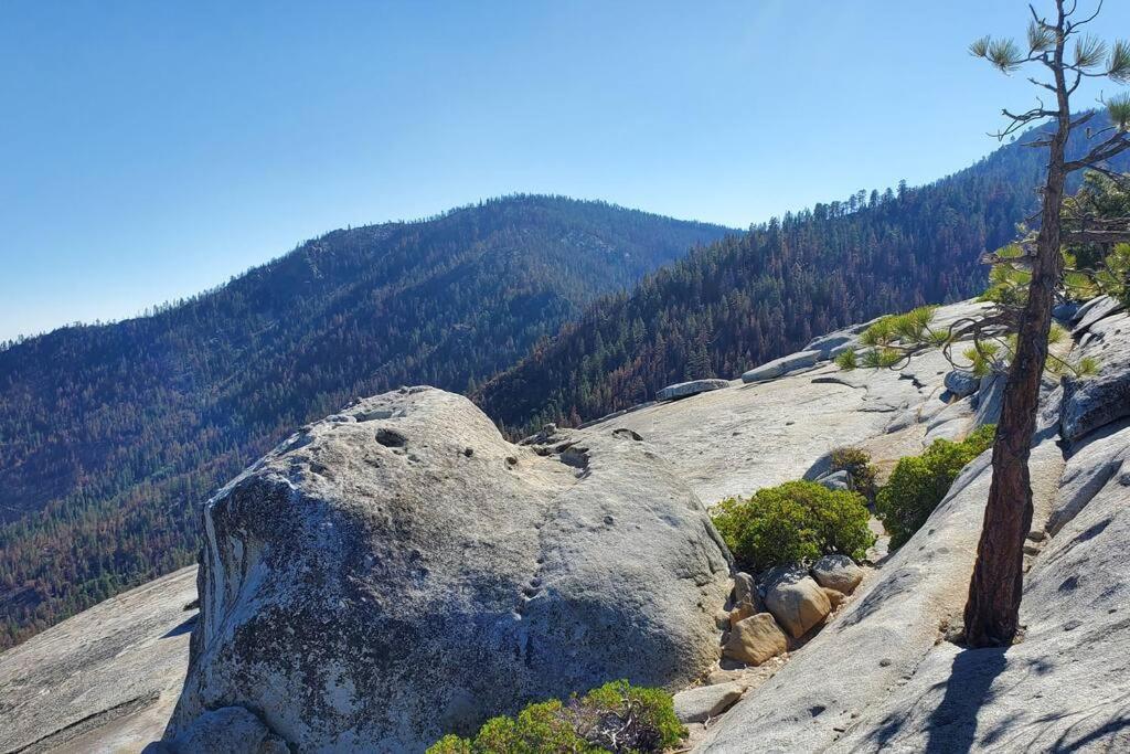 Redwood Retreat, Mountains, Adventure And Nature Ponderosa Buitenkant foto