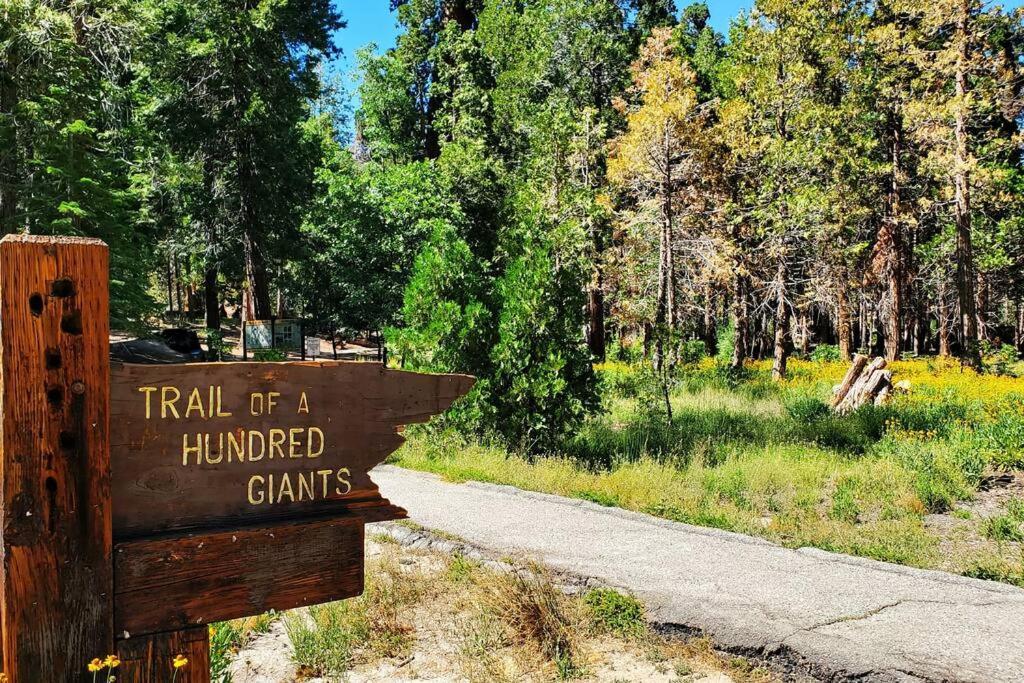 Redwood Retreat, Mountains, Adventure And Nature Ponderosa Buitenkant foto