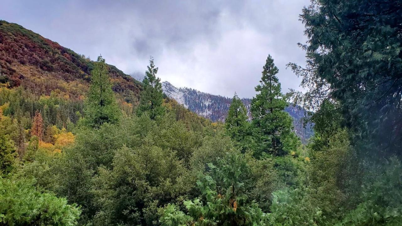 Redwood Retreat, Mountains, Adventure And Nature Ponderosa Buitenkant foto