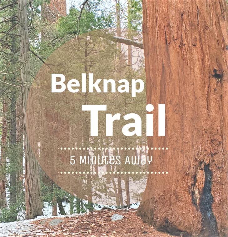 Redwood Retreat, Mountains, Adventure And Nature Ponderosa Buitenkant foto