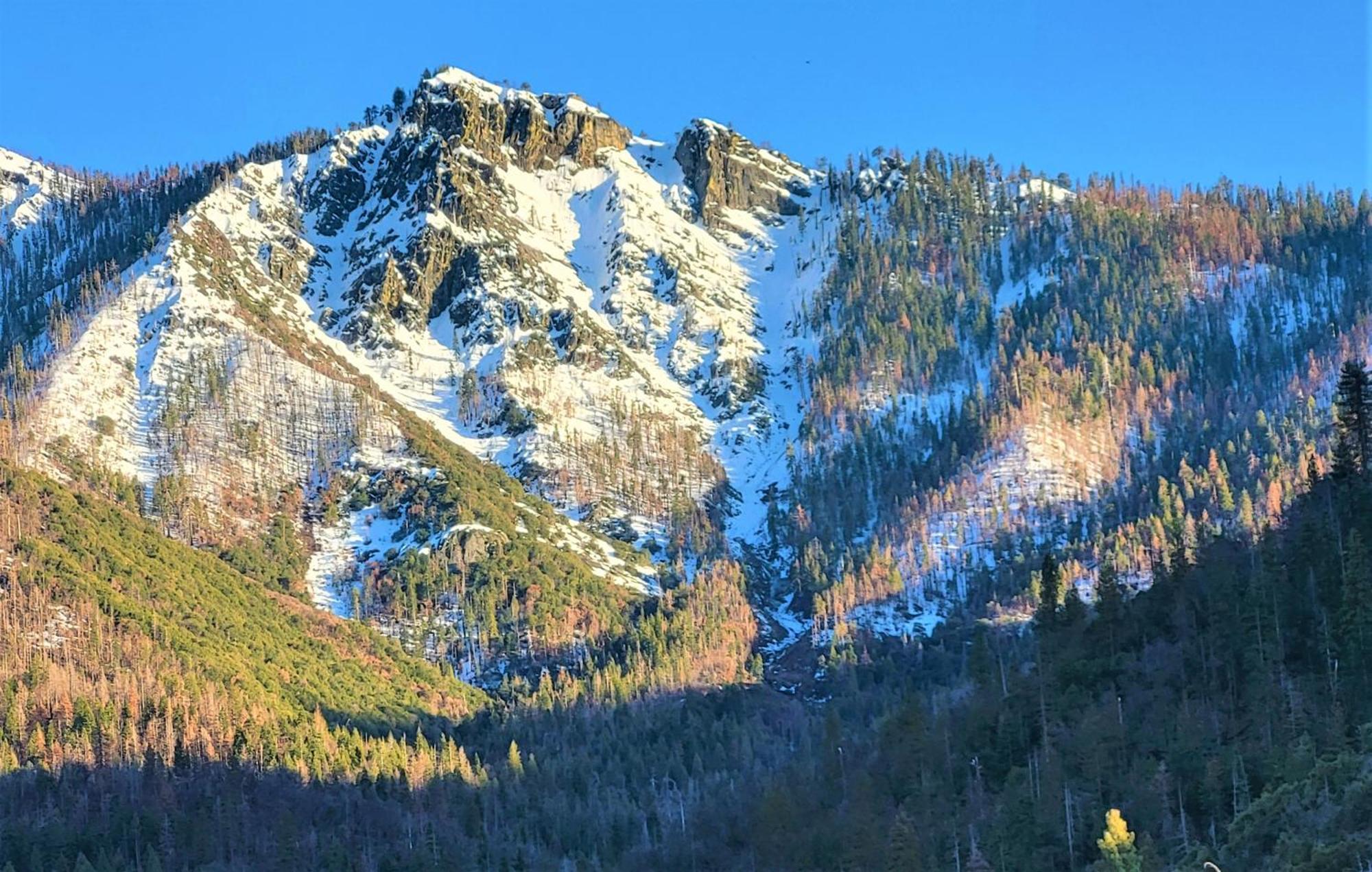 Redwood Retreat, Mountains, Adventure And Nature Ponderosa Buitenkant foto